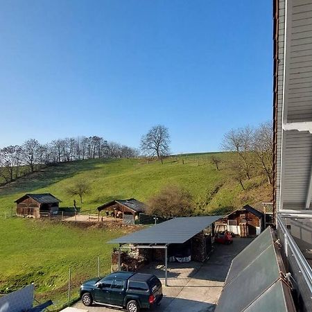 Grosse Tolle 4 Zimmer Ferienwohnung Im Herzen Des Odenwaldes Moerlenbach Exterior photo