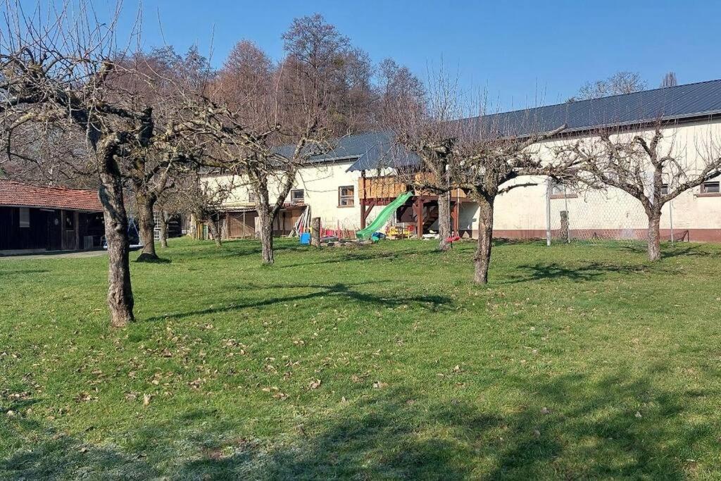 Grosse Tolle 4 Zimmer Ferienwohnung Im Herzen Des Odenwaldes Moerlenbach Exterior photo